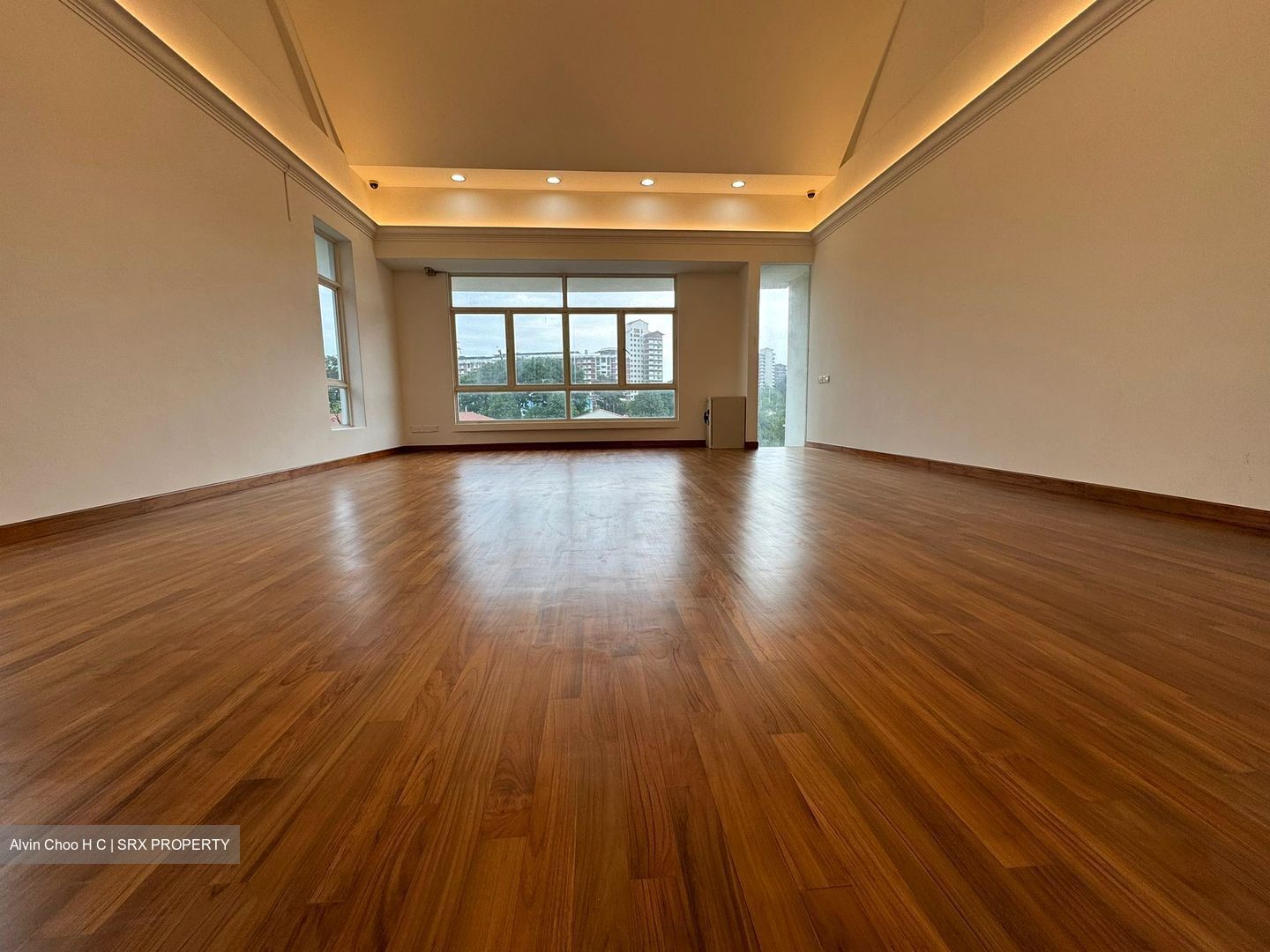 People's Garden (D19), Terrace #542933371